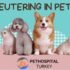 Neutering ın pets